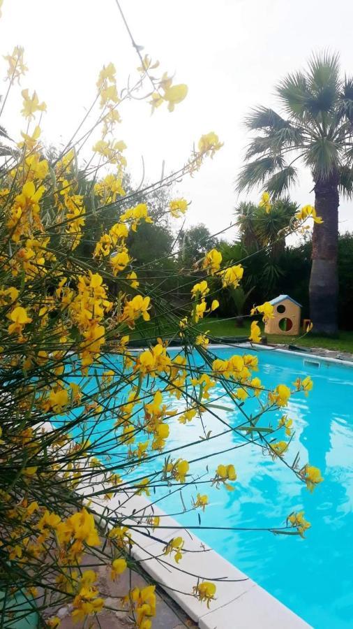 La Ginestra Bed & Breakfast Trani Bagian luar foto